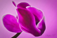 2018-10-28-11-08-25-C-tavla_2