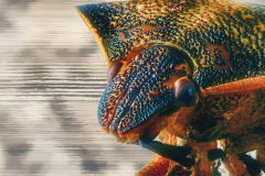 2019-09-18-18-51-33-BRadius8Smoothing4