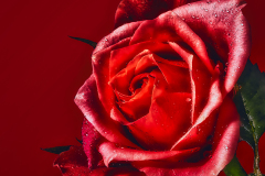 2020-03-19-18-54-20-BRadius1Smoothing1_20